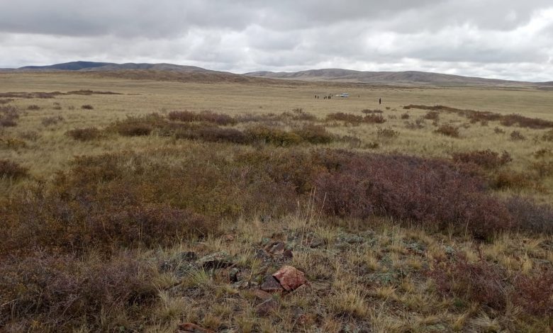 Мұрты бар үлкен мүшесі